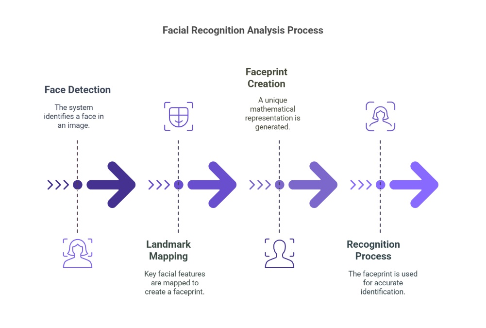 Analysis Process